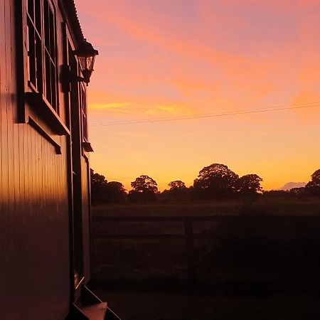The Old Mill Shepherds Hut โอ๊คแฮมป์ตัน ภายนอก รูปภาพ